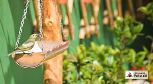 thumbnail: Garden