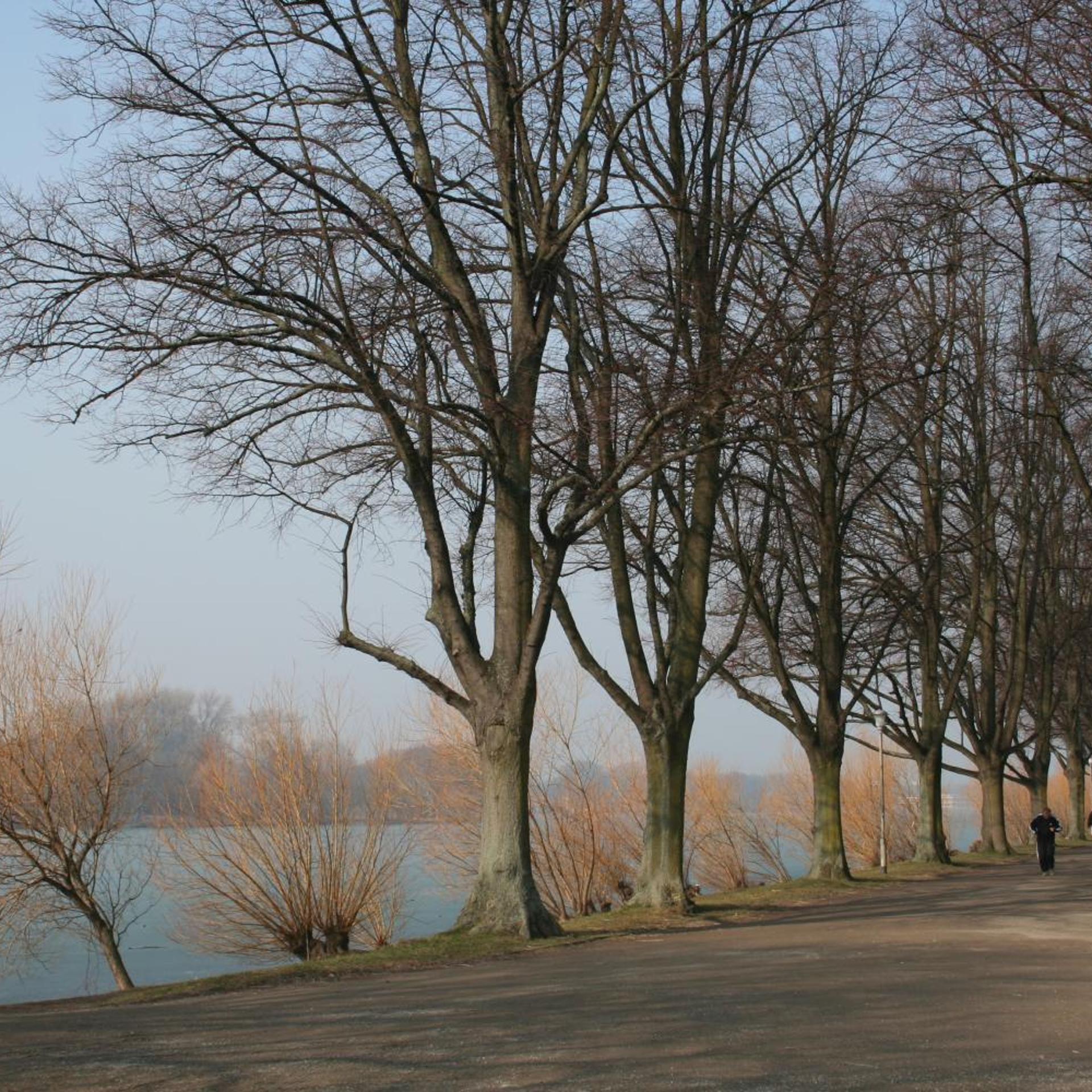 Surroundings