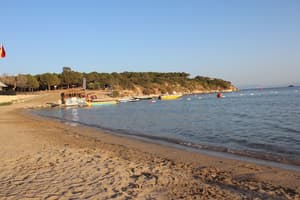 thumbnail: Beach