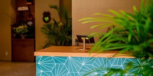 thumbnail: Reception