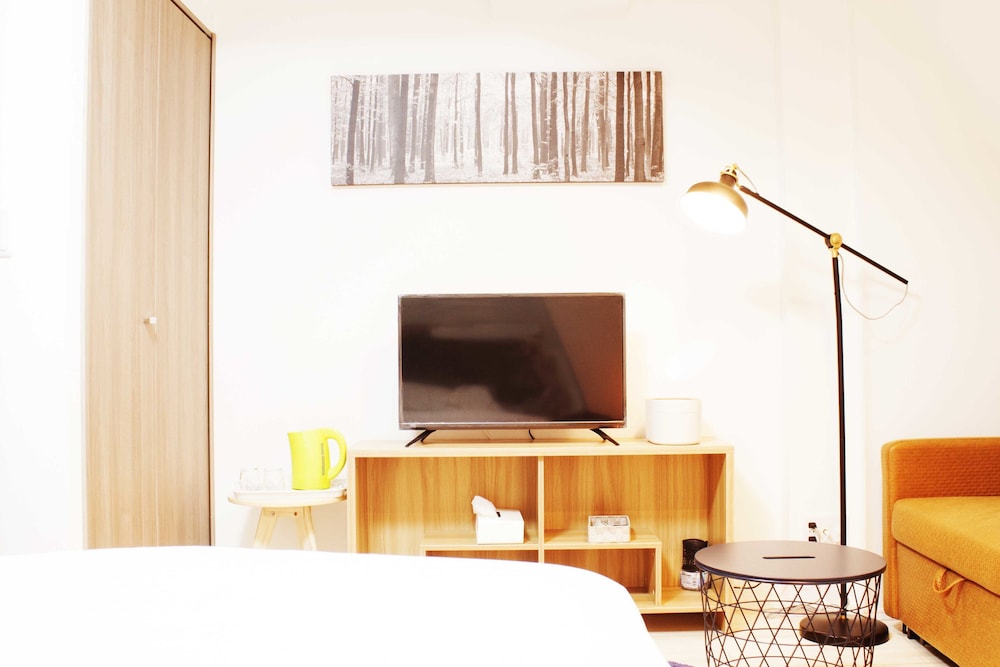Television