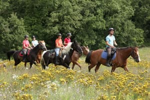 thumbnail: Horseback riding