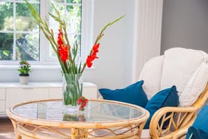 thumbnail: Interior