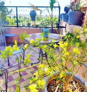thumbnail: Balcony