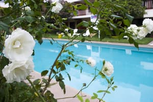 thumbnail: Outdoor pool