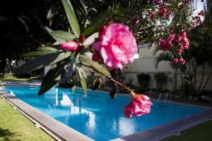 thumbnail: Outdoor pool