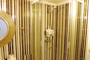 thumbnail: Bathroom shower