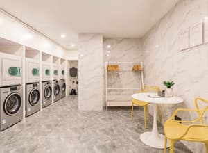 thumbnail: Laundry room