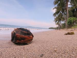 thumbnail: Beach