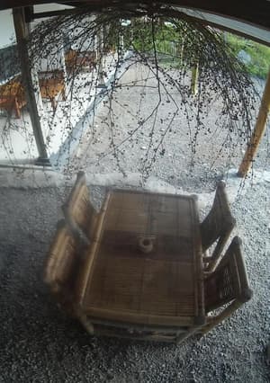 thumbnail: Property grounds