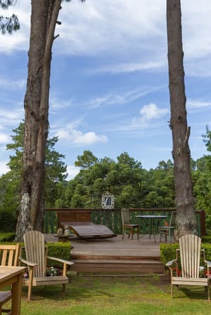 thumbnail: Garden
