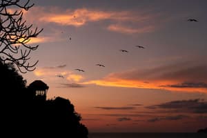 Acapulco thumbnail