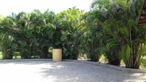 thumbnail: Terrace/patio