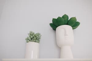 thumbnail: Bathroom amenities