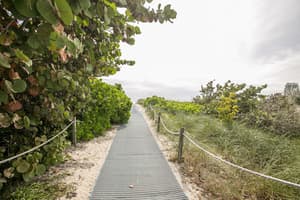 thumbnail: Beach