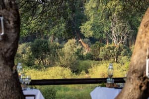thumbnail: Outdoor dining