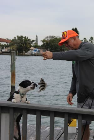 thumbnail: Fishing