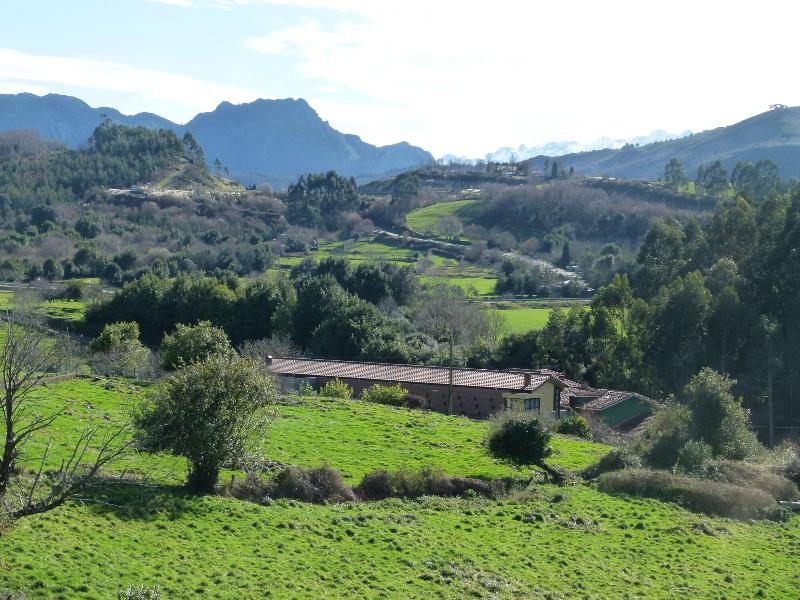 General view