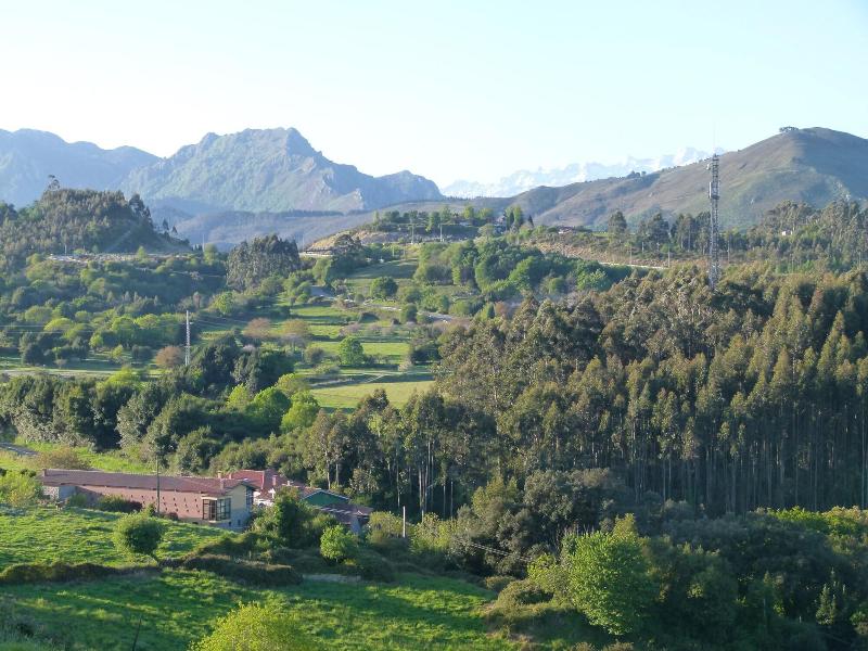 General view