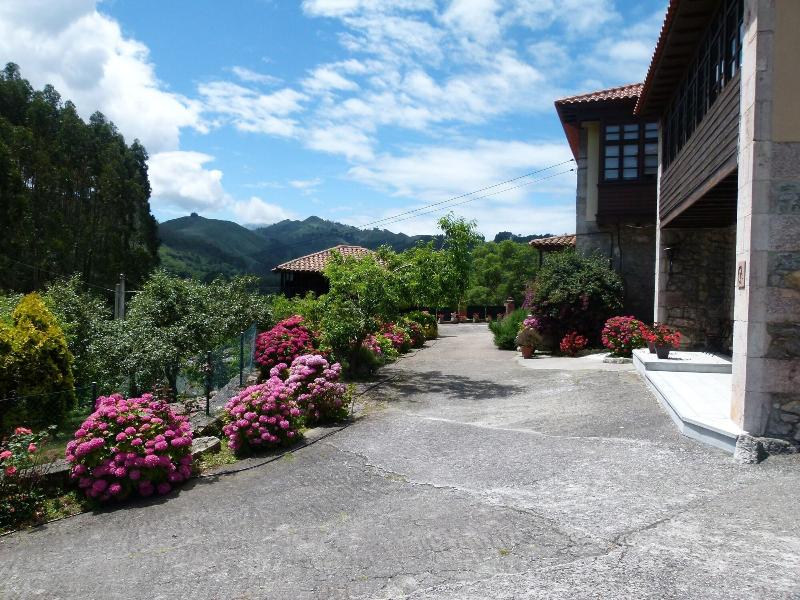 General view
