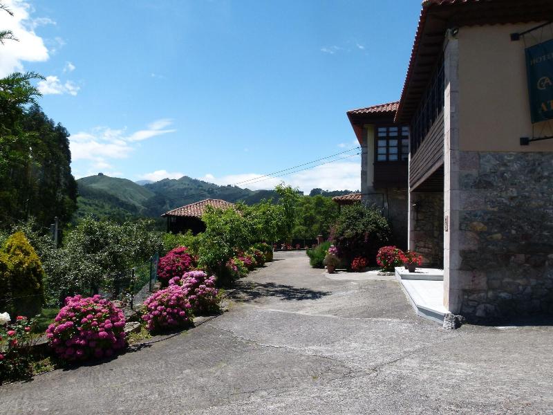 General view