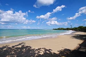 thumbnail: Beach
