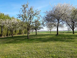 thumbnail: Garden