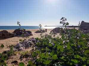 thumbnail: Beach
