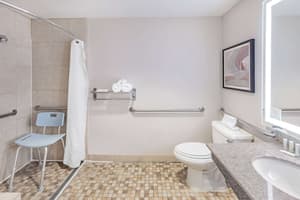 thumbnail: Accessible bathroom