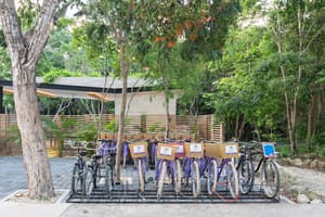 thumbnail: Bicycling