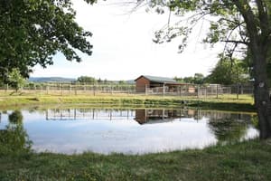thumbnail: Property grounds