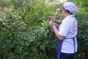 thumbnail: Garden