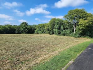thumbnail: View from property