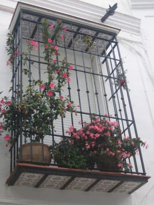 thumbnail: Exterior