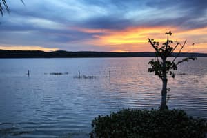 thumbnail: Lake view