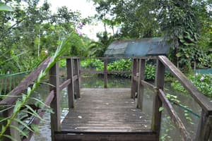 thumbnail: Dock