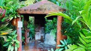 thumbnail: Garden