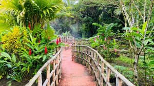 thumbnail: Garden