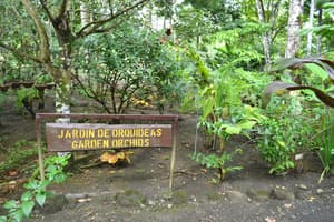 thumbnail: Garden