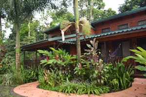 thumbnail: Garden