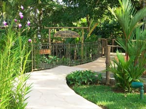 thumbnail: Garden