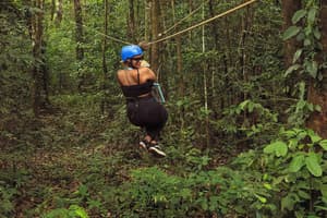 thumbnail: Ziplining
