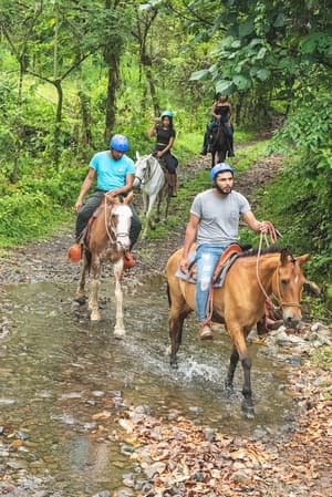 thumbnail: Horseback riding