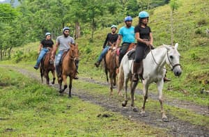 thumbnail: Horseback riding