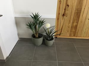 thumbnail: Interior