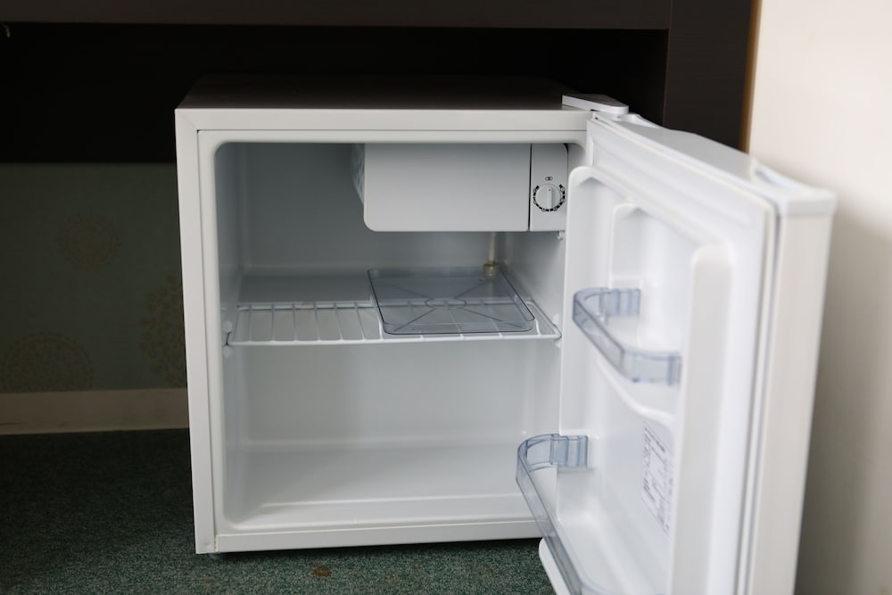 Mini-refrigerator