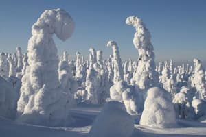 thumbnail: Snow and ski sports