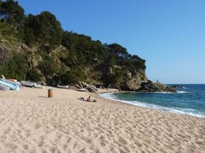thumbnail: Beach