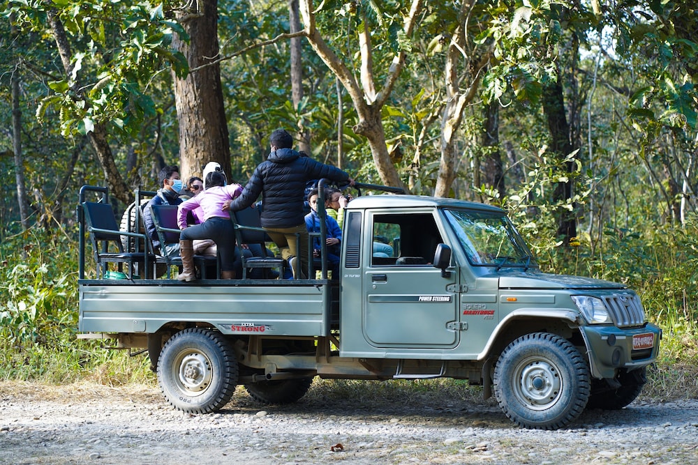 Safari