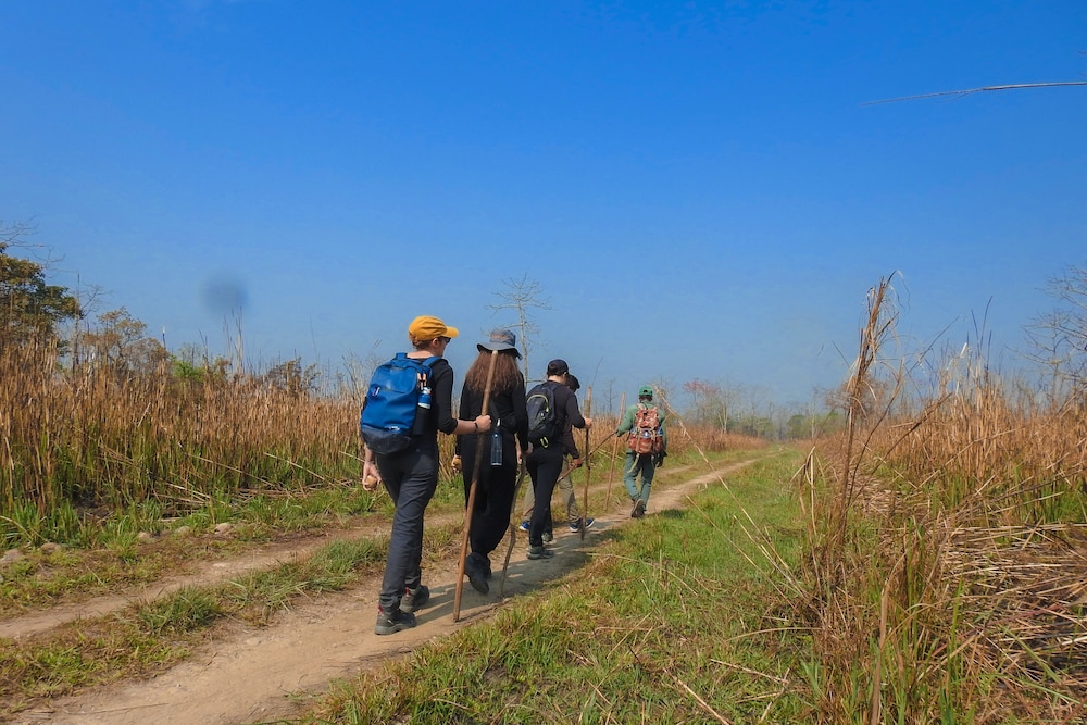 Hiking